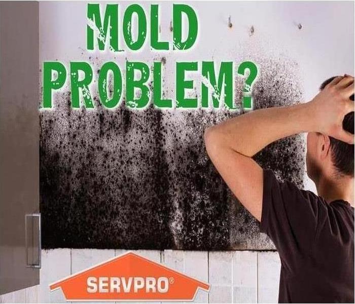 SERVPRO Mold Problem